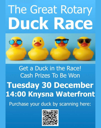 knysna_duck_race